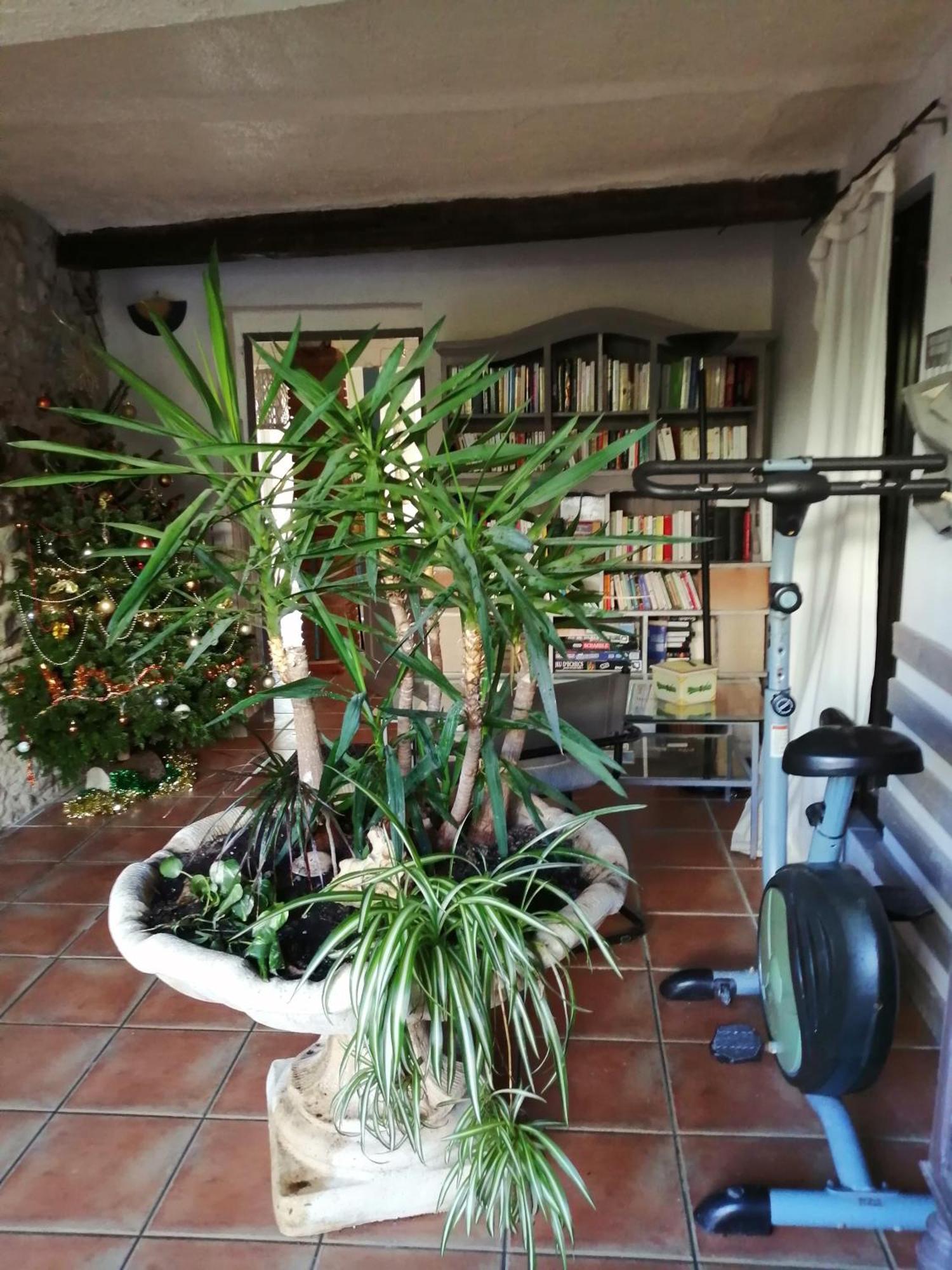 Belle Maison De Caractere Dans Village Et Sa Piscine Privee 7 Pers- 3 Chambres - 12 Rue Emile Zola Millas Exteriör bild